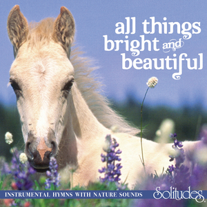 花臂凉太9周年完整视频免费
